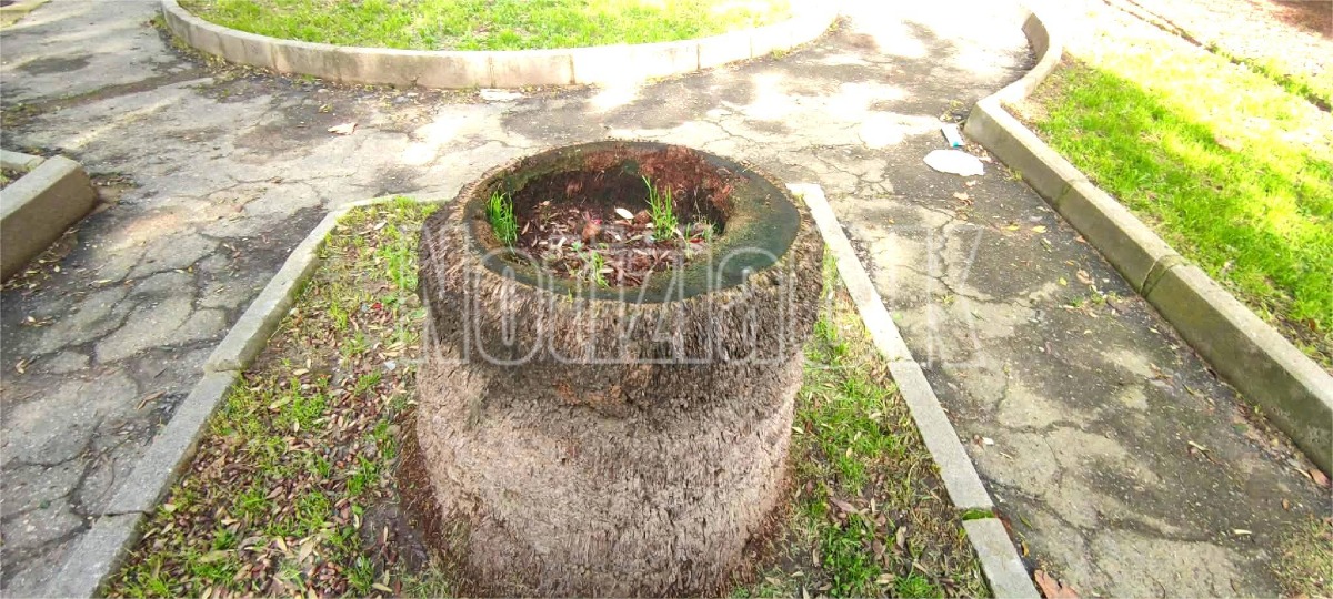 Piazza Umberto I - Degrado (Redazione - 03.02.2026)