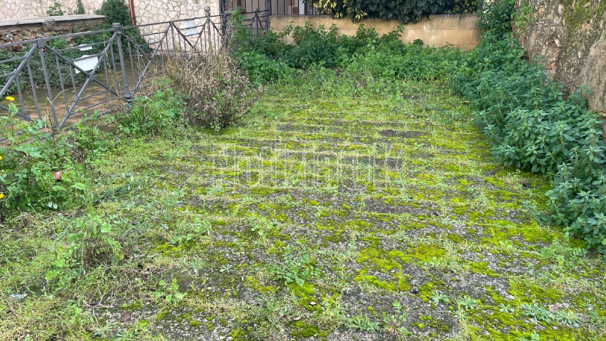 Via Risorgimento mura bizantine erba alta - crotone - redazione 3.02.2026