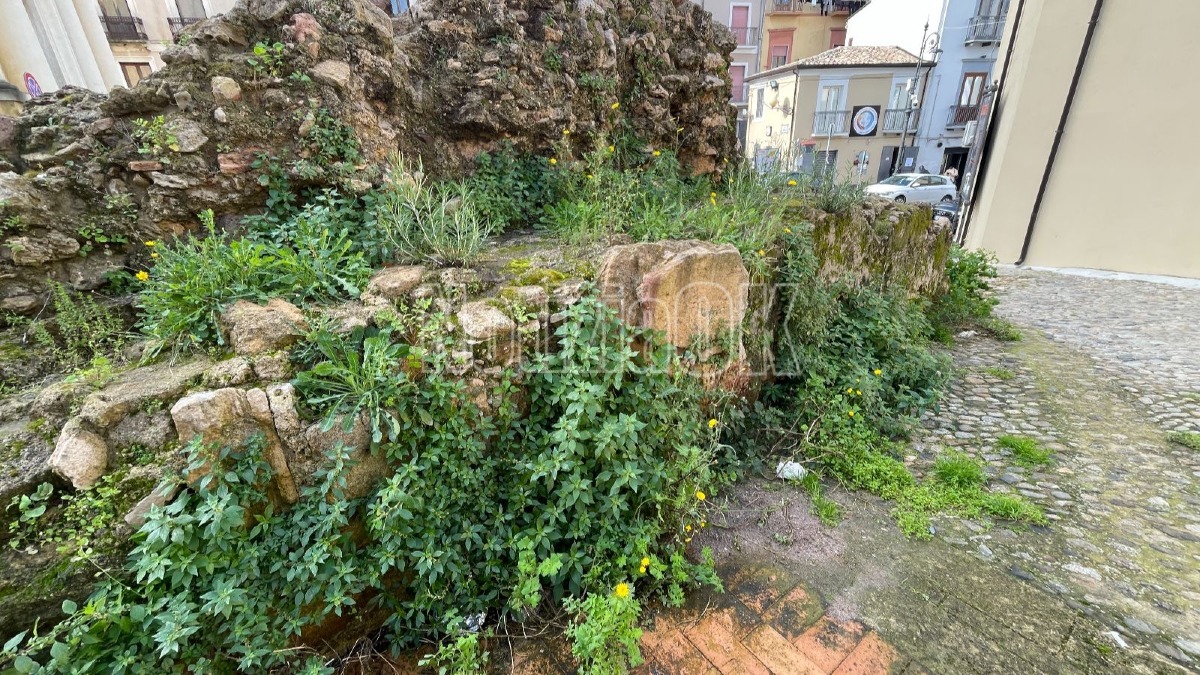 Via Risorgimento mura bizantine erba alta - crotone - redazione 3.02.2026