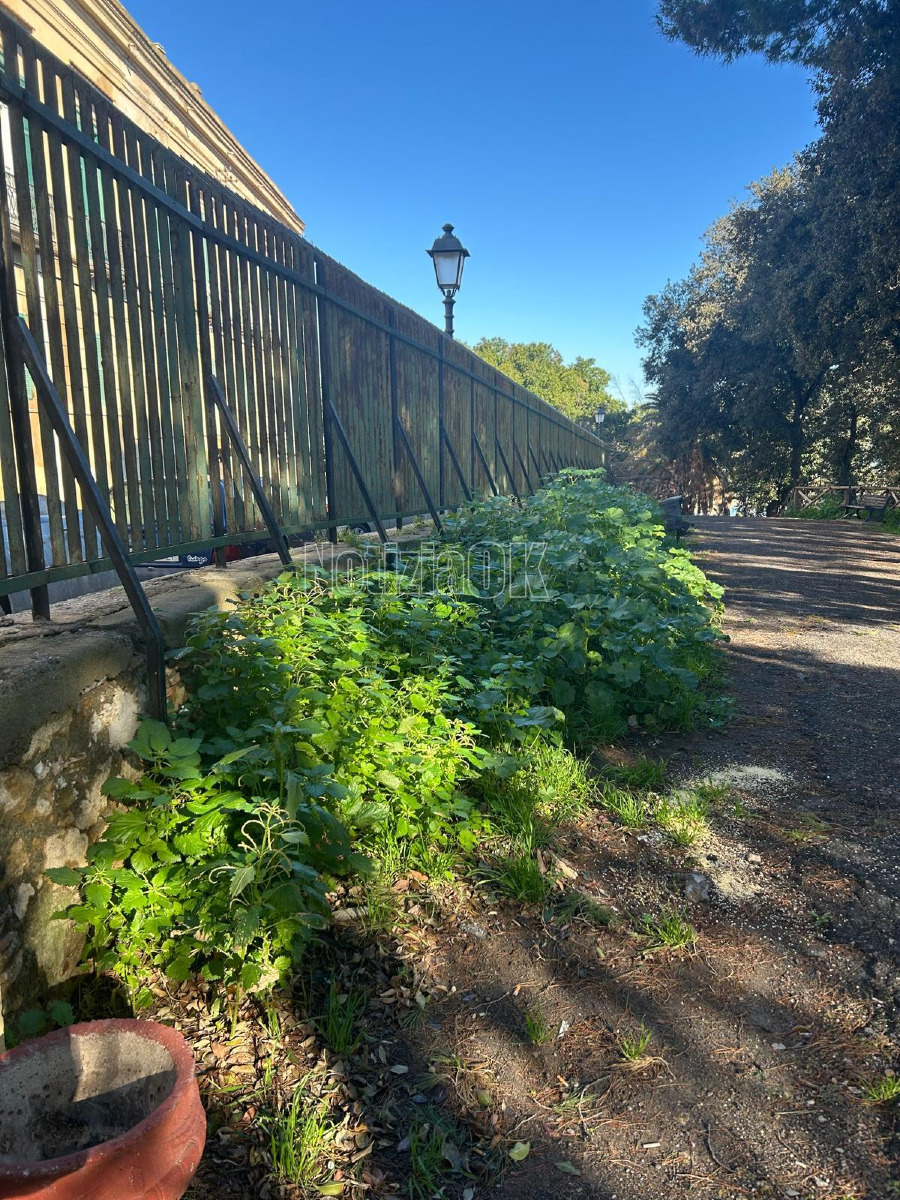 Villa comunale degrado (Redazione 10.2.2026) 1