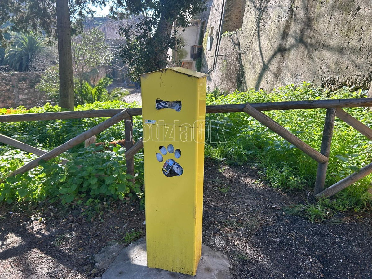 Villa comunale degrado (Redazione 10.2.2026) 5