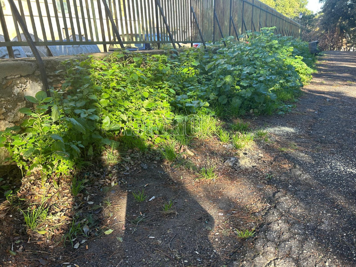 Villa comunale degrado (Redazione 10.2.2026) 9