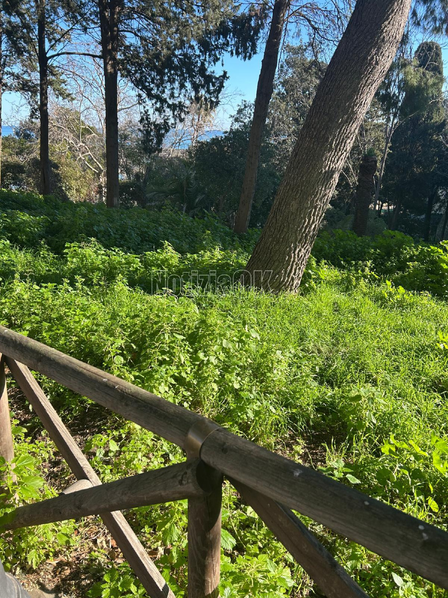 Villa comunale degrado (Redazione 10.2.2026) 1