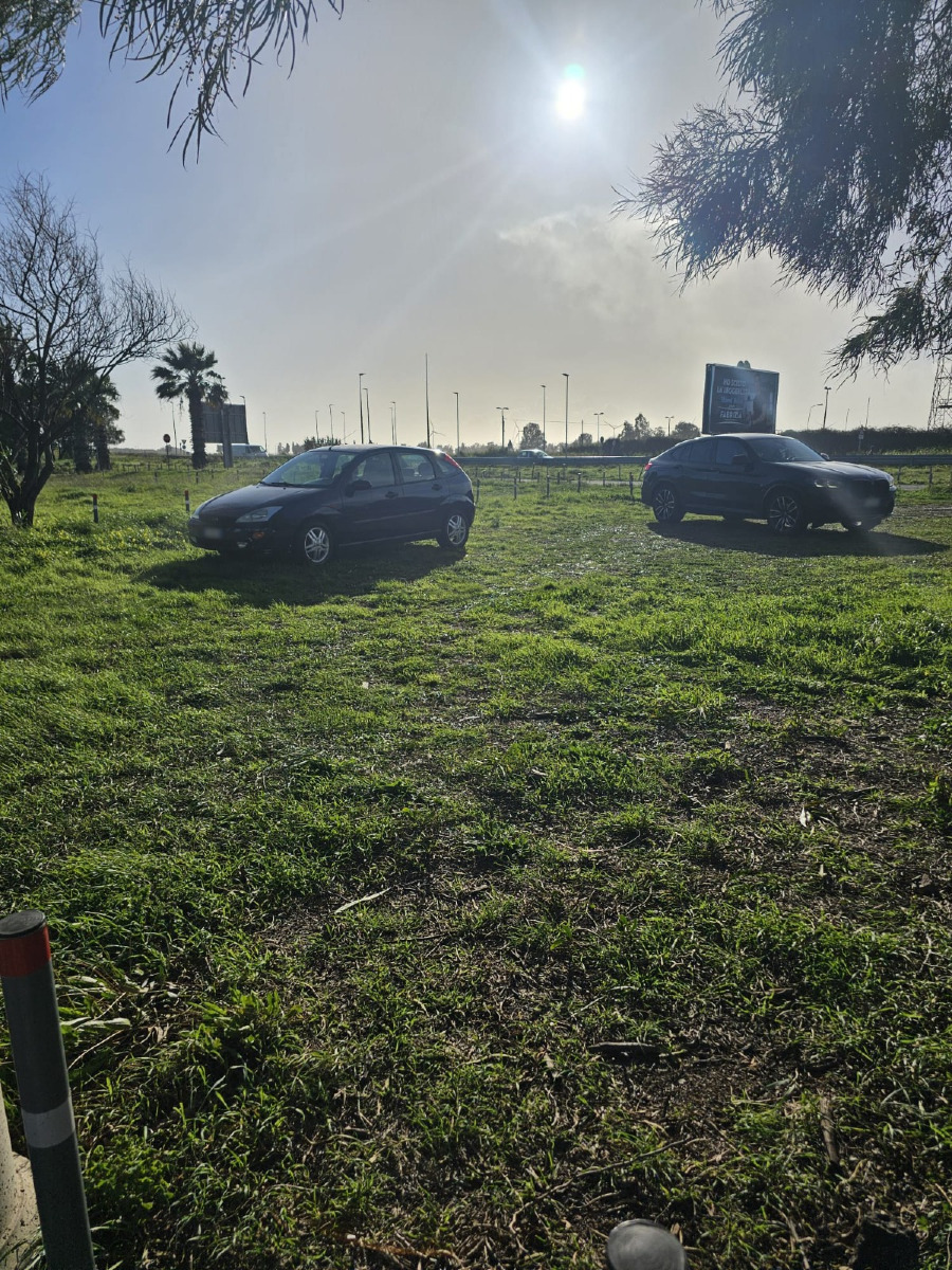 Parcheggio Aeroporto (Paola Fittante 10.2.2026) 4
