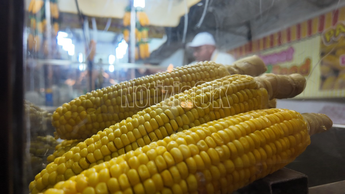 Festa del Cioccolato Crotone - Redazione 27.02.2026