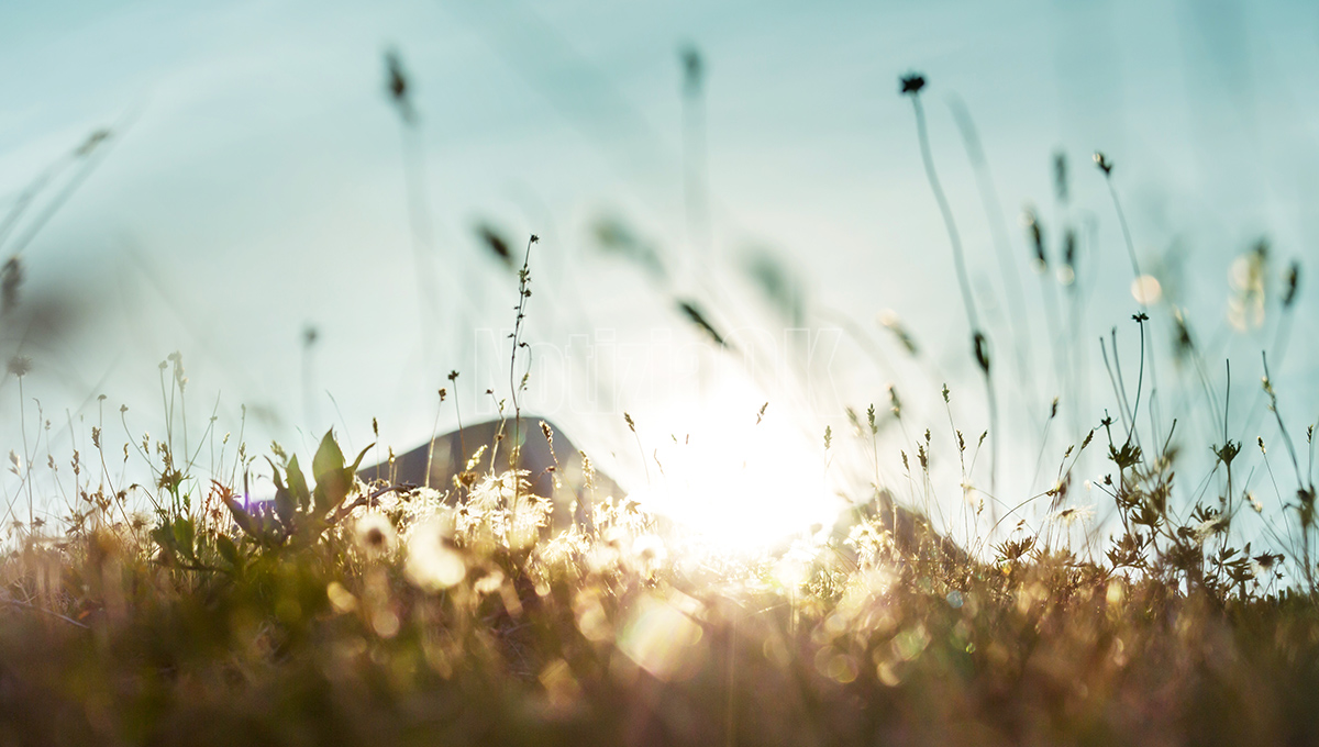 Stalettì ottiene un finanziamento regionale per la riqualificazione ambientale - Foto: Redazione