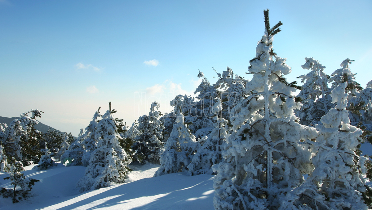 Ritorna il freddo in Calabria: nevicate sui rilievi del Pollino, Sila e Aspromonte - Foto: Redazione