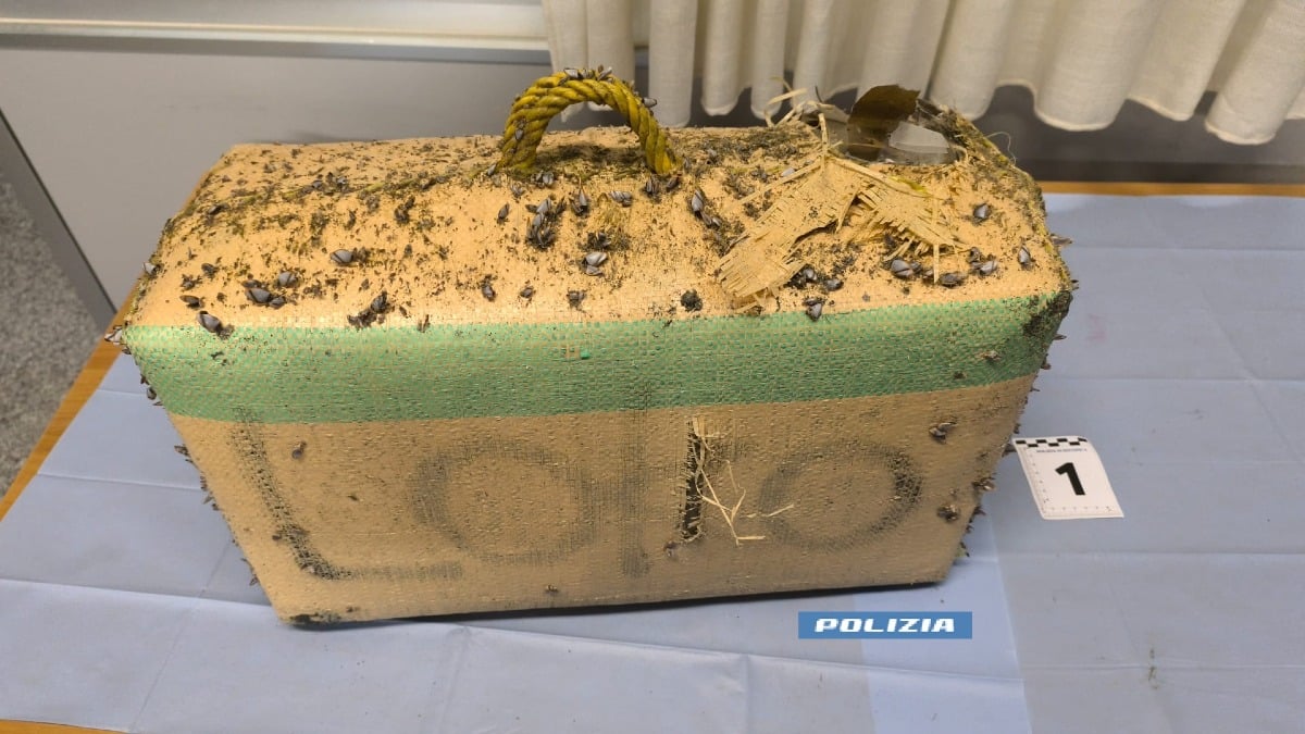 Droga, un arresto e maxi sequestri tra Gizzeria e Catanzaro - Foto: US Questura Catanzaro