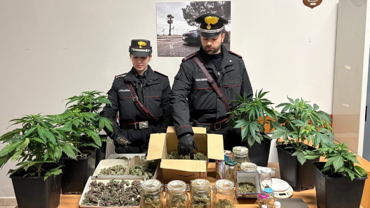 Serra di marijuana in casa: 55enne arrestato dai Carabinieri a Sellia Marina - Foto: US Carabinieri 