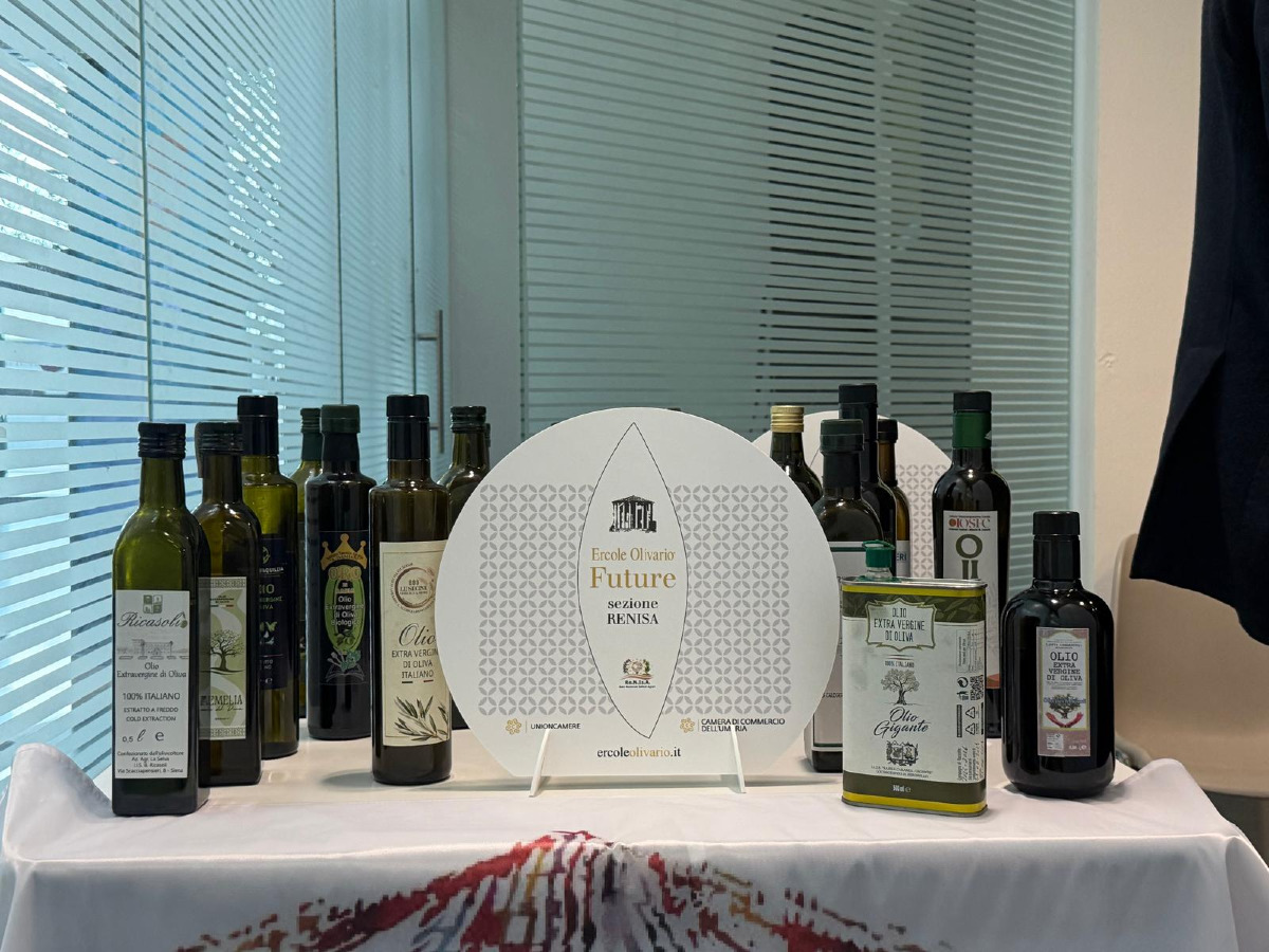 Corigliano-Rossano - Al Majorana il premio Ercole Olivario 2026 - Foto: Add Comunicazione