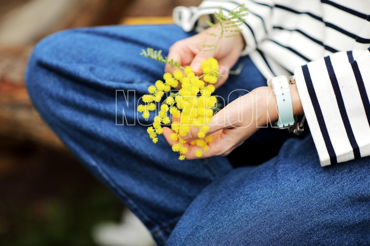 ANMIL, all’Istituto Grimaldi incontro su donne e lavoro precario - Foto: Redazione