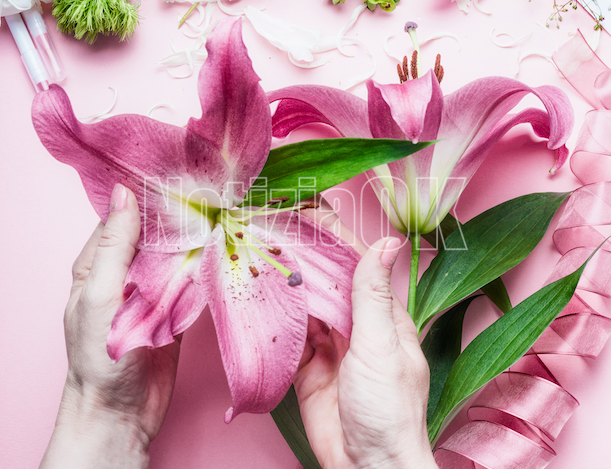 A Crotone torna “I Fiori della Consapevolezza” - 