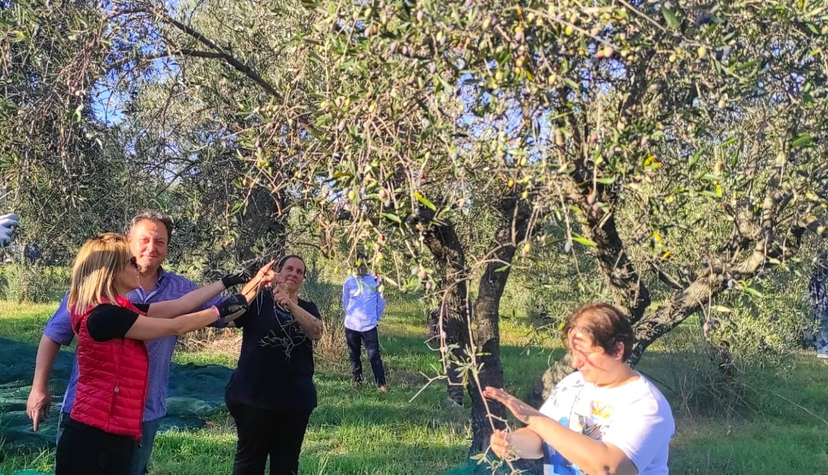 L'Istituto Majorana nella Premium List Ercole Olivario Future con l’EVO Momena - Foto US Montesanto 