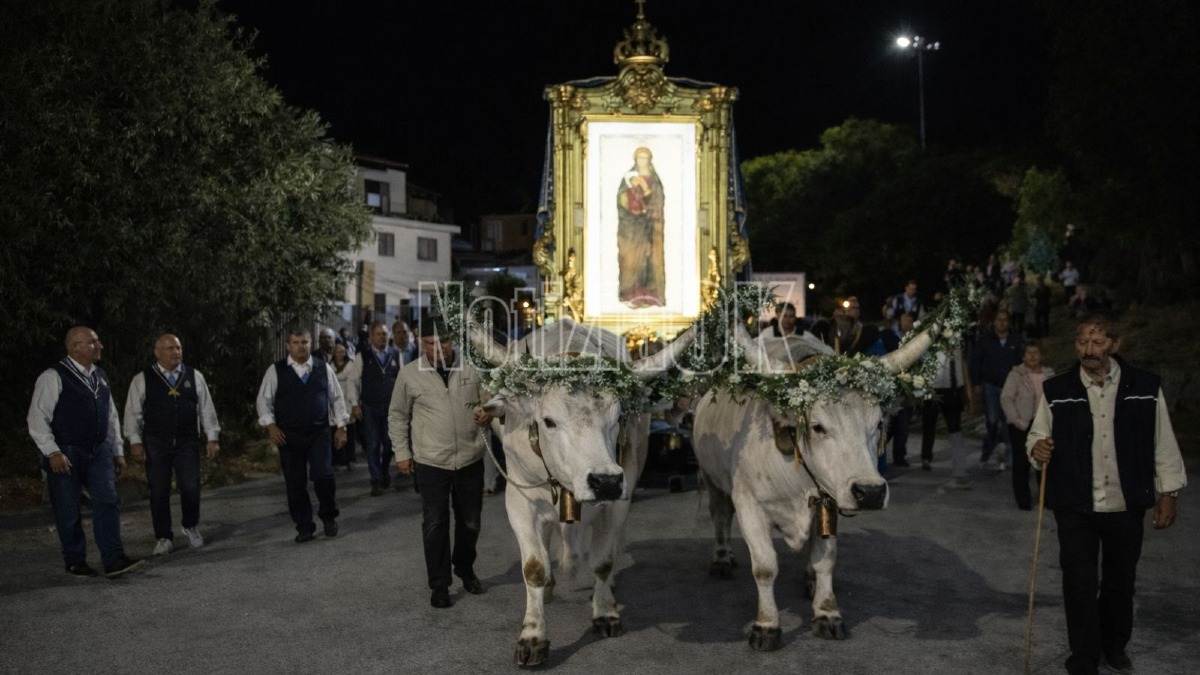 I buoi e la Madonna di Capocolonna: la tradizione torna nel Settennale - Foto Redazione 