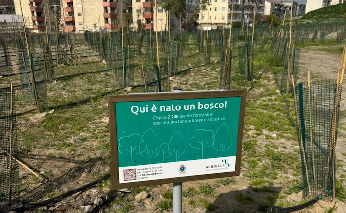 Crotone - Inaugurato il bosco urbano - Foto: Ufficio stampa Comune di Crotone