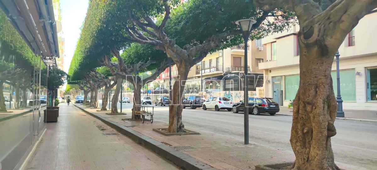 Crotone, Via Nuova Poggioreale cambierà volto con marciapiedi, rampe e nuova illuminazione - Foto: Redazione