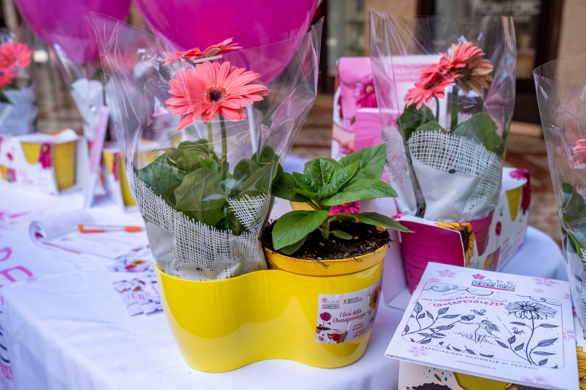 Crotone - A.P.E. porta la consapevolezza sull’endometriosi nelle scuole - Foto: Ufficio stampa A.P.E.