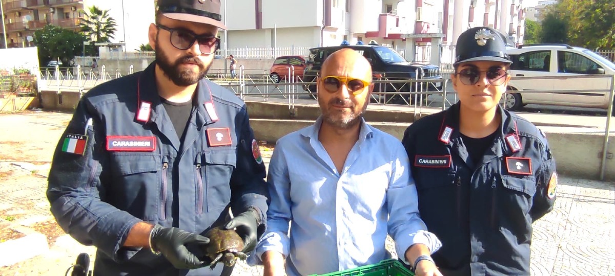 Parco Pignera, manutenzione della vasca: l’ENPA esprime il suo pensiero sui lavori - Foto: Uff. Stampa Enpa Crotone