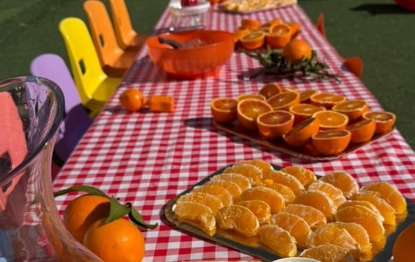 Corigliano-Rossano, Al "Magnolia" la Giornata dell’Arancia diventa lezione di educazione alimentare - Foto: Uff. Stampa Pedagogista Teresa Pia Renzo