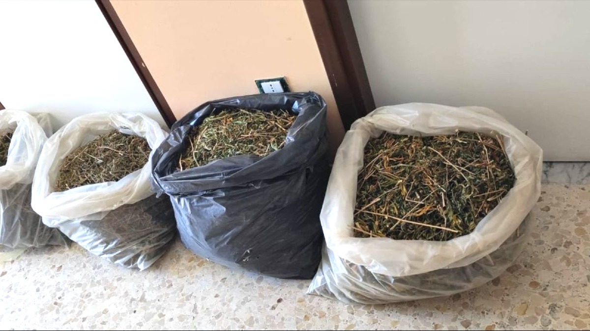 Maxi sequestro di droga a Cirò Marina, controlli anche nelle attività - 