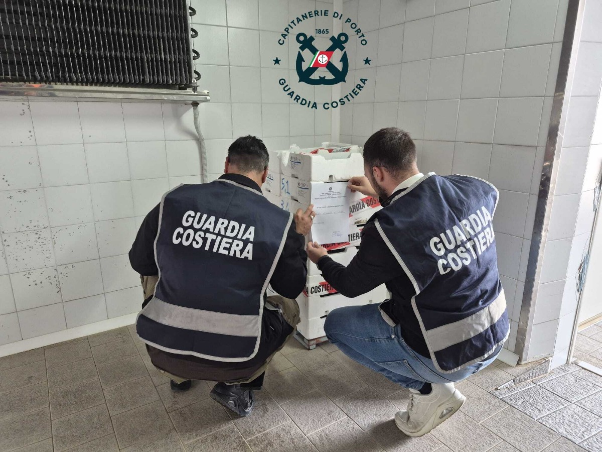 Crotone, sequestrati 100 kg di novellame di sarda - Foto: Uff. Stampa Capitaneria di Porto di Crotone 