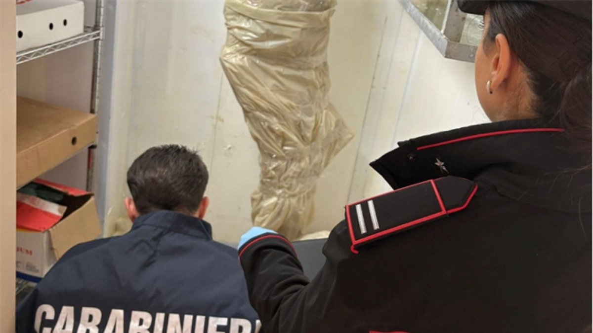 Controlli a Lamezia, sequestrata una tonnellata di cibo avariato - Foto Uff. Stampa Carabinieri Lamezia 