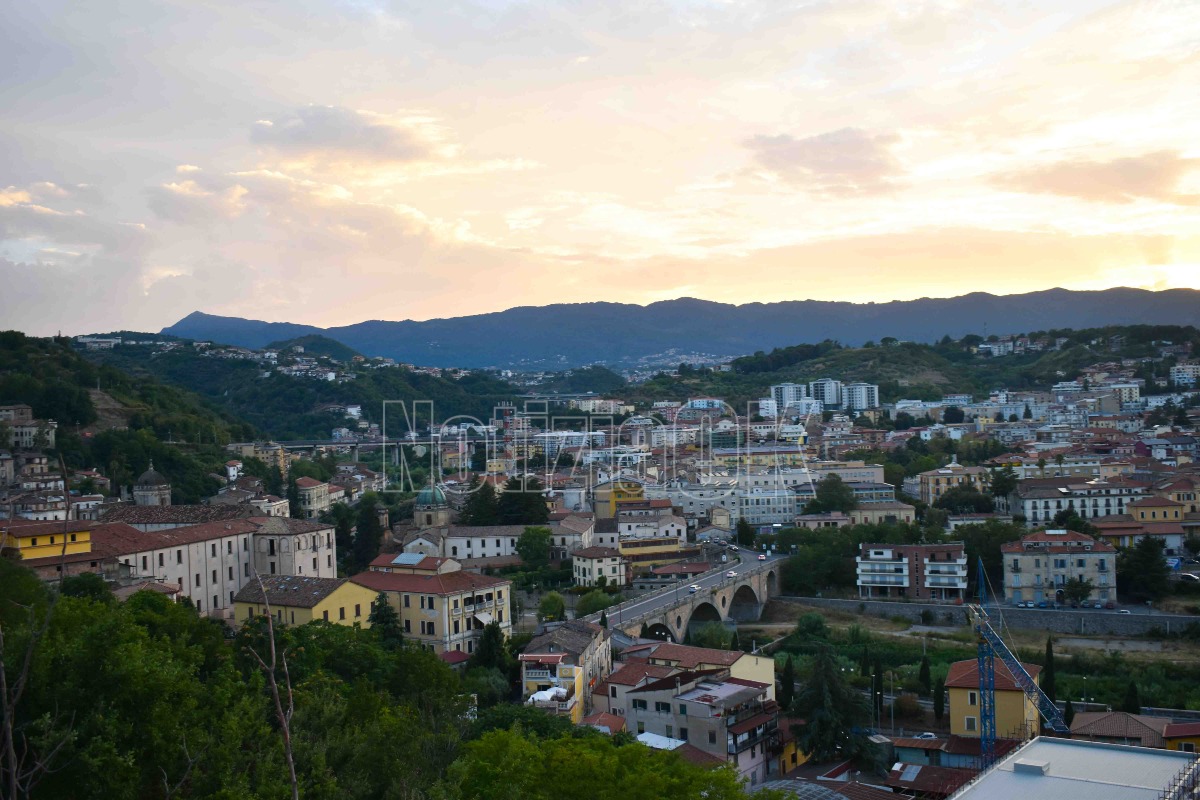 Cosenza, limite a 30 km/h nelle aree sensibili: “Salvare vite” - 
