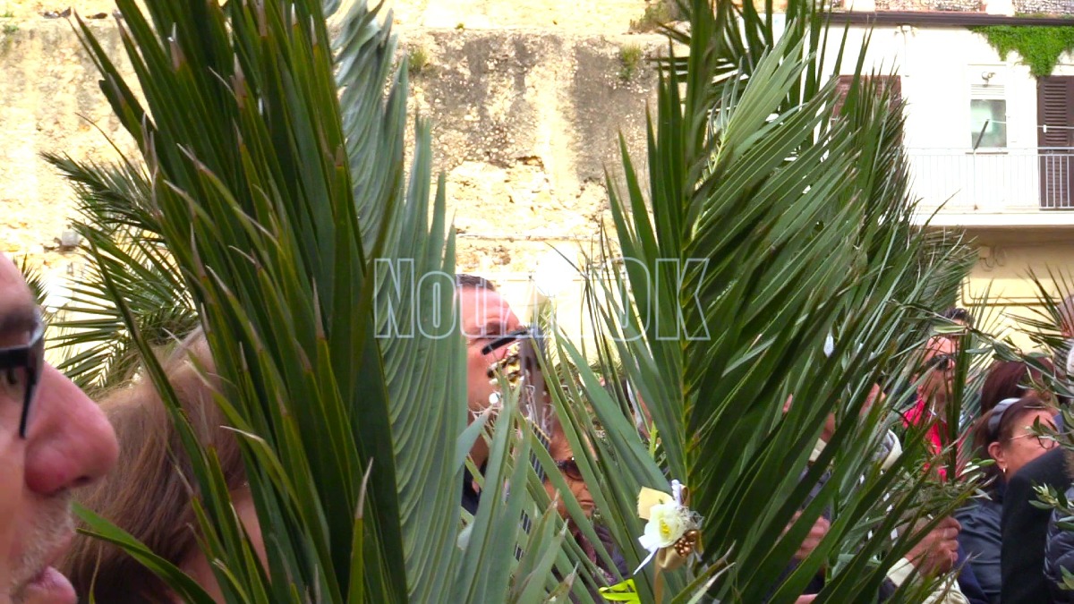 Domenica delle Palme, gli orari alla chiesa dell'Immacolata - 