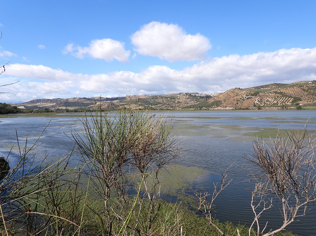 Le Riserve del lago di Tarsia e del fiume Crati laboratori a cielo aperto - Foto: Ufficio stampa Riserva naturale del Lago di Tarsia