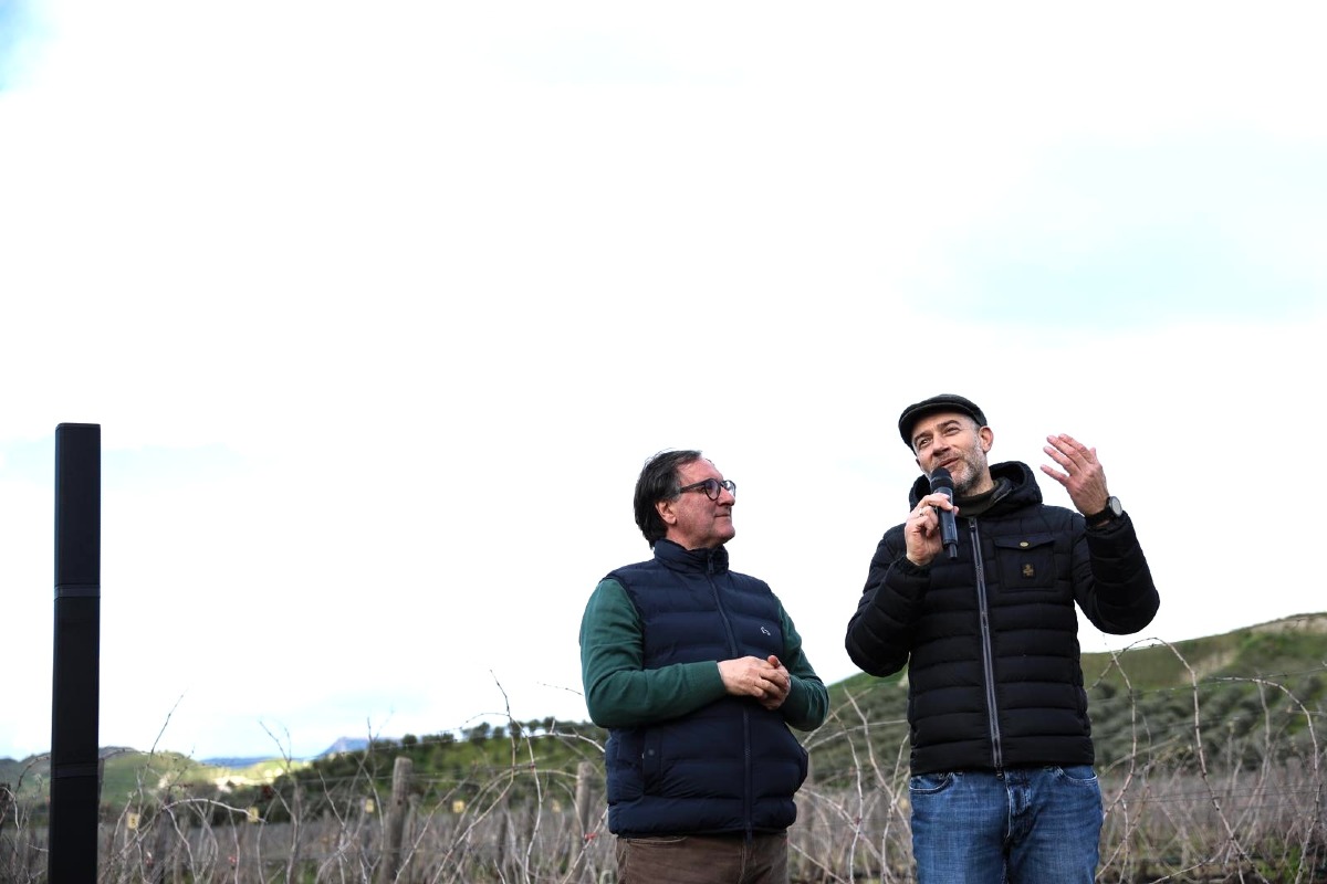 Il Concours Mondial de Bruxelles alla scoperta della biodiversità vinicola della Calabria