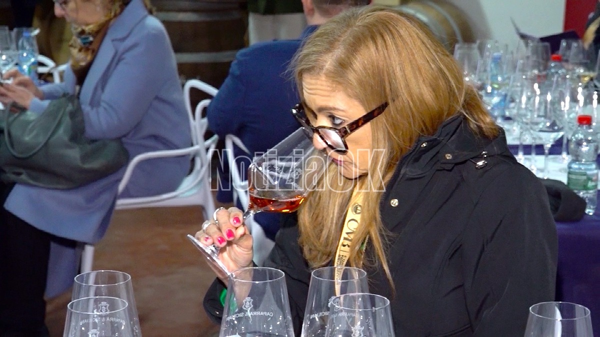 (VIDEO) Cirò capitale del vino, Gallo: «Qui il meglio della Calabria» - Foto: Redazione 