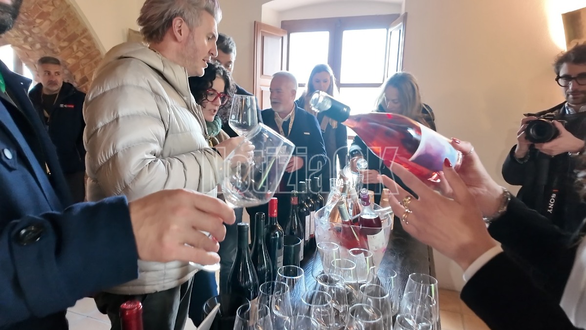 (VIDEO) Cirò, tappa a Tenuta Rosaneti: il mondo scopre i vitigni calabresi - Foto: Redazione 