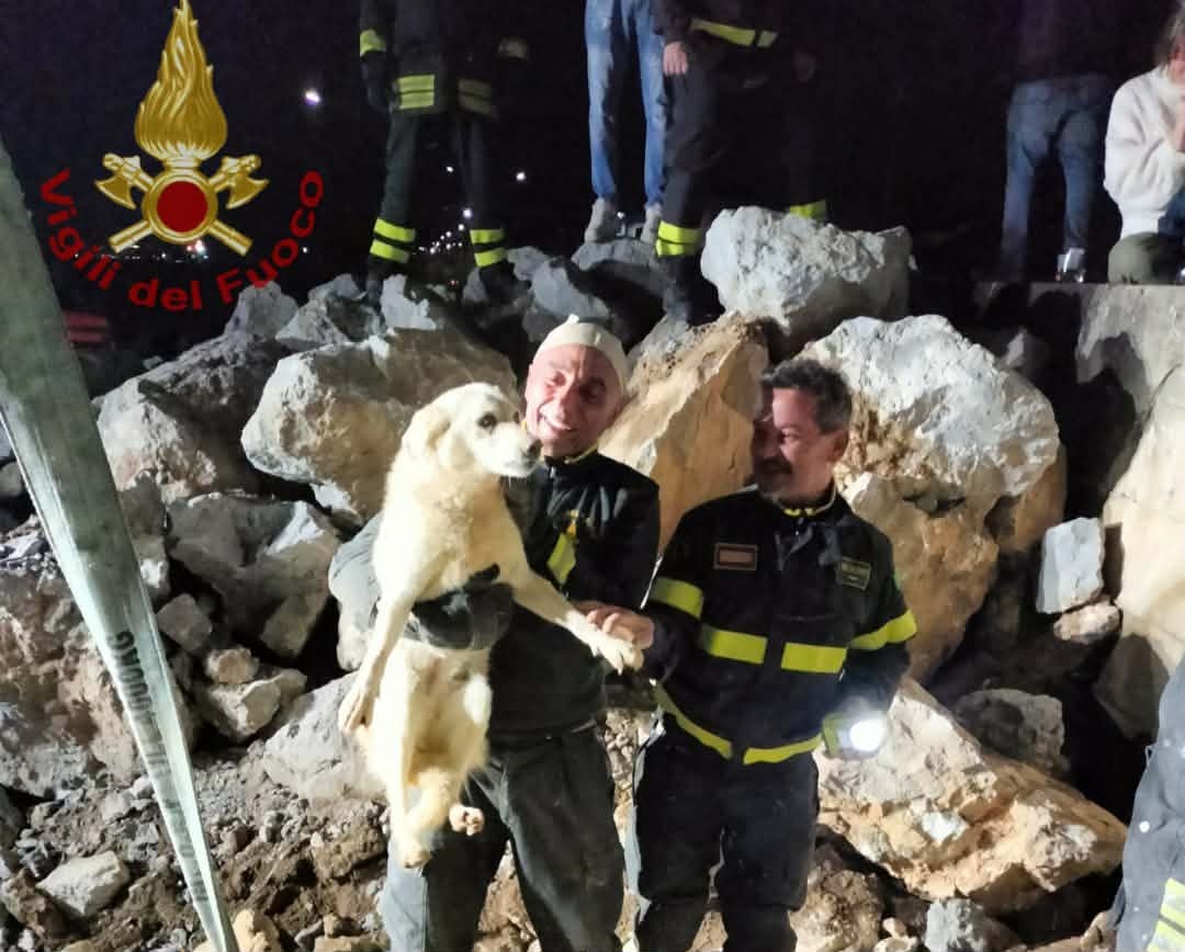 Intervento dei Vigili del Fuoco: cane recuperato in località Schiavonea - Foto: Uff. Stampa Comando Provinciale dei Vigili del Fuoco di Cosenza