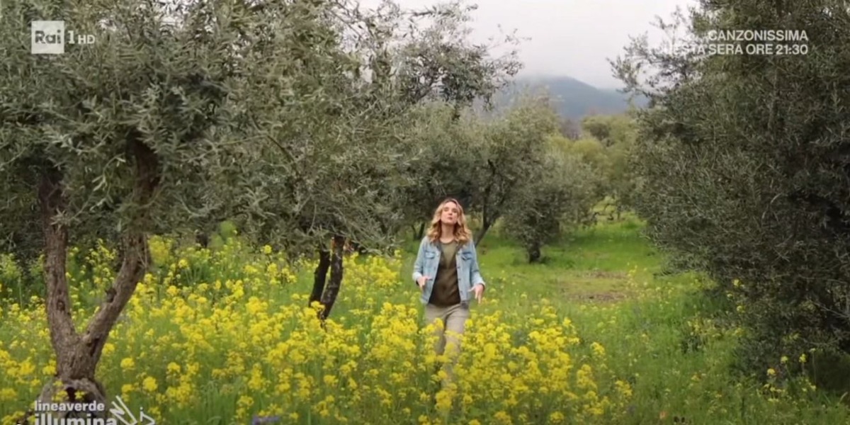Saracena si racconta su Rai 1 e punta sul turismo esperienziale - Foto Uff. Stampa Comune di Saracena 