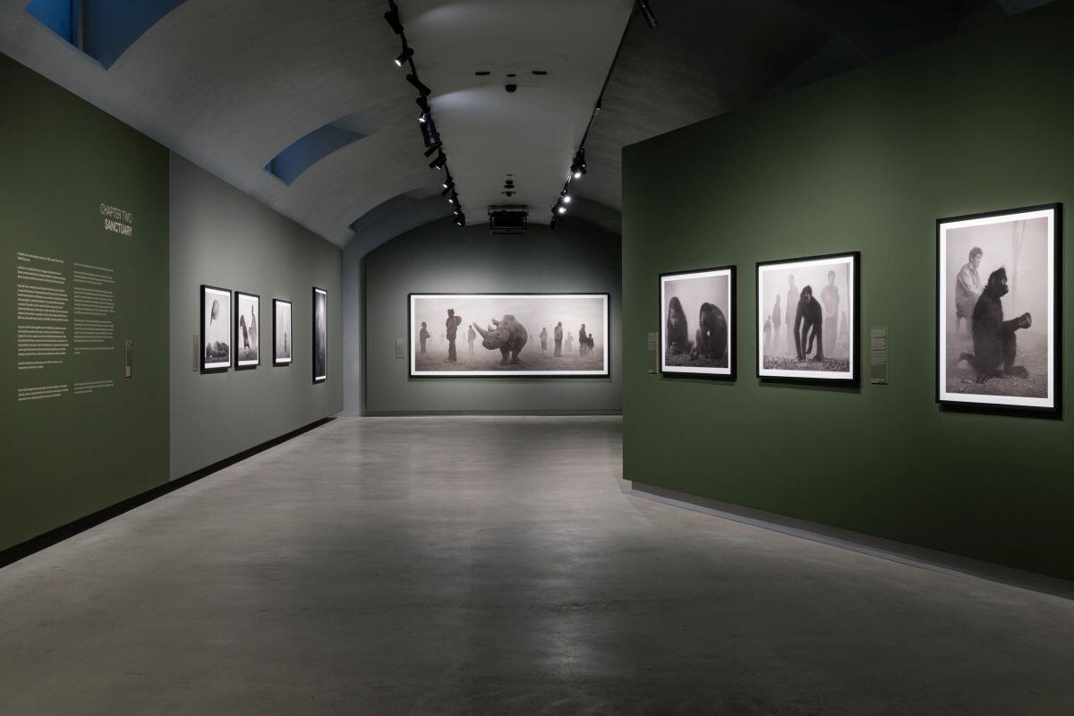 Alle Gallerie d’Italia di Torino la mostra “Nick Brandt” - 