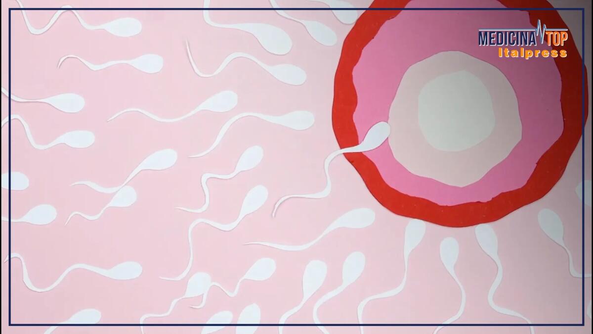 Fertilità femminile, le tecniche mediche che permettono di preservarla - 