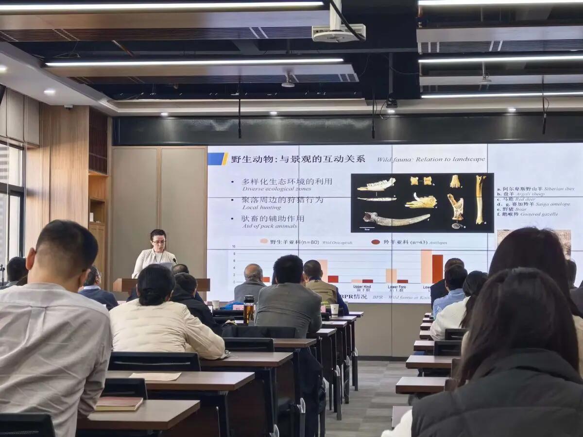 Cina: dall’Italia a Xi’an, il viaggio di un’archeologa lungo la Via della seta - 