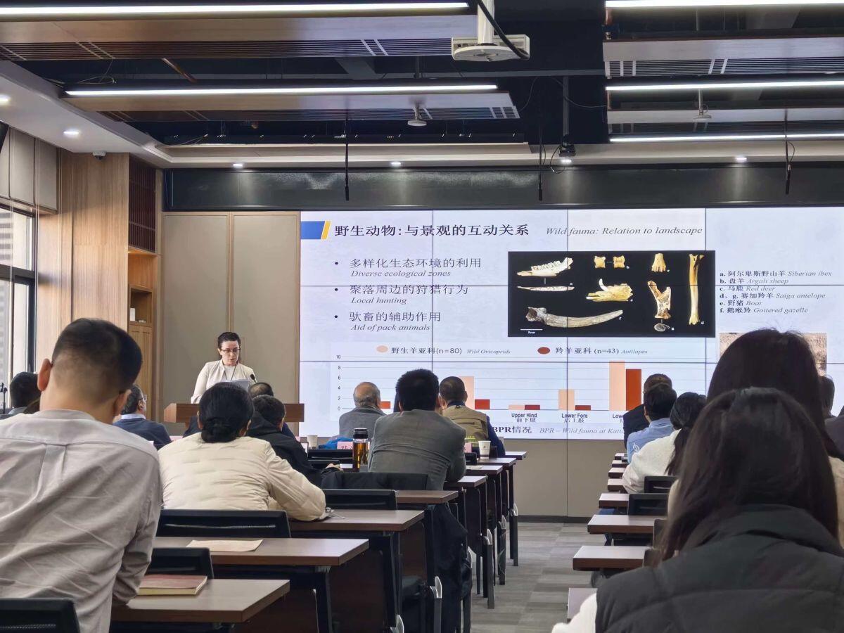 Cina: dall’Italia a Xìan, il viaggio di un’archeologa lungo la Via della seta - 