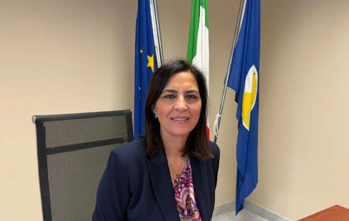 Rientrano studenti calabresi da Dubai, Micheli “Felice di riabbracciarli” - 