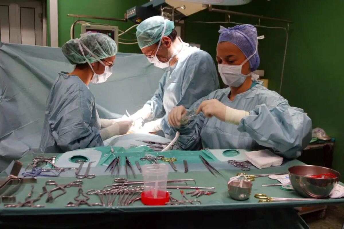 A Roma un convegno sul lavoro delle professioni sanitarie dietro i trapianti - 