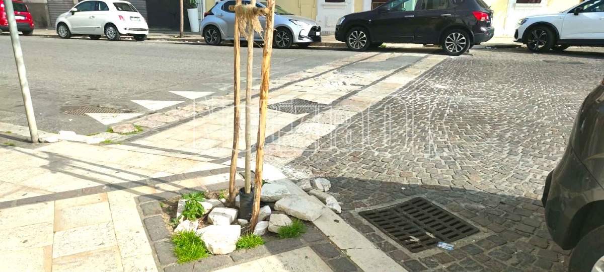 Corso Messina - Marmi danneggiati (Redazione - 03.03.2026)