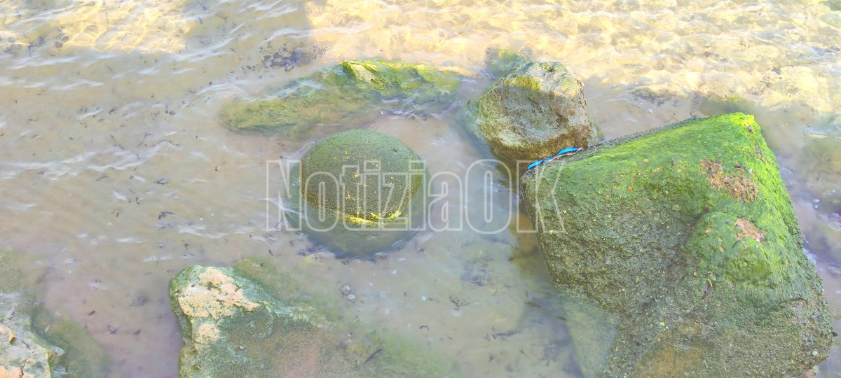 Lungomare di Crotone - Palla in mare (Redazione 03.03.2026)