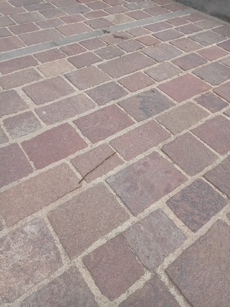 Processionaria - Lungomare di Crotone - Foto US Ufficio Stampa Fabrica 24 (11.03.2026)