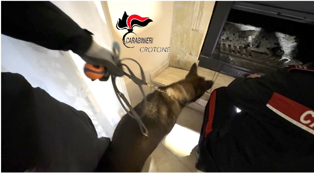 Droga sequestro Roccabernarda - Carabinieri di petilia policastro (US 18.03.2026)