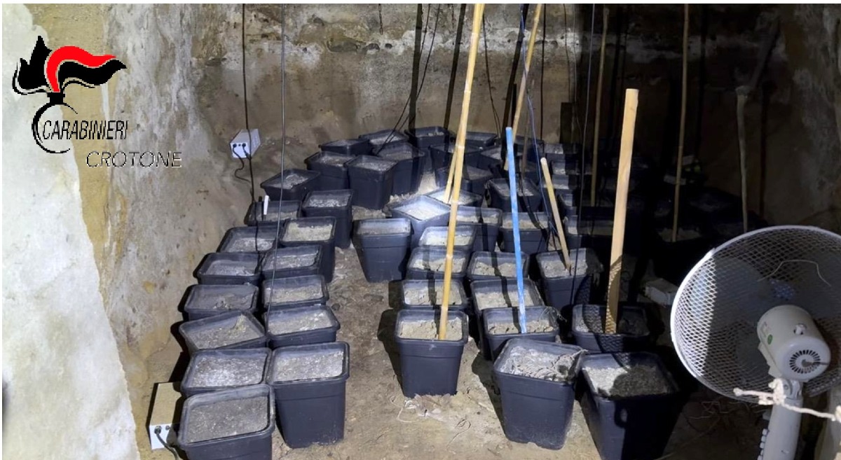 Droga sequestro Roccabernarda - Carabinieri di petilia policastro (US 18.03.2026)