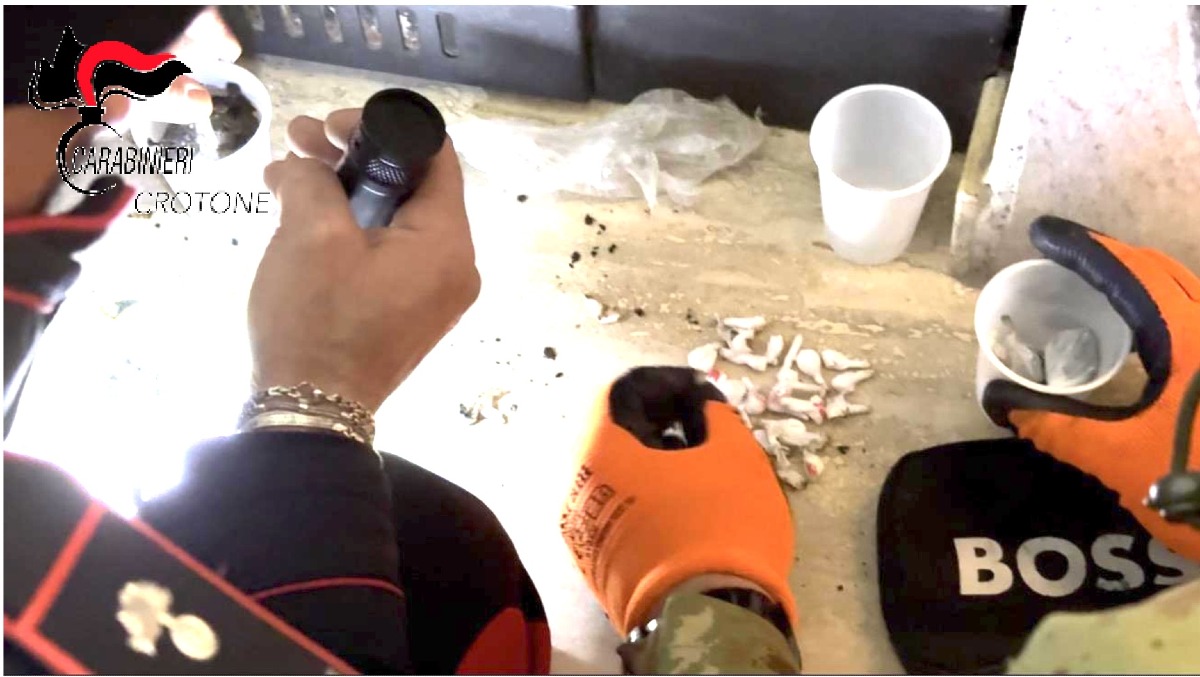 Droga sequestro Roccabernarda - Carabinieri di petilia policastro (US 18.03.2026)