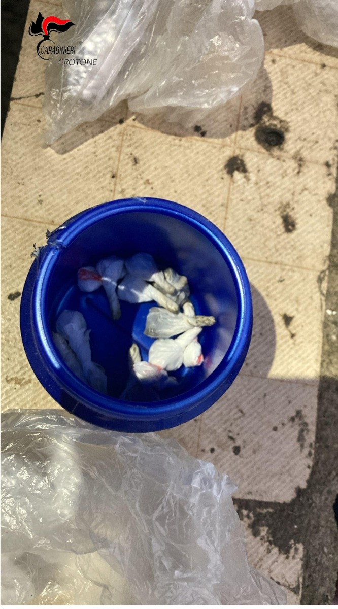 Droga sequestro Roccabernarda - Carabinieri di petilia policastro (US 18.03.2026)