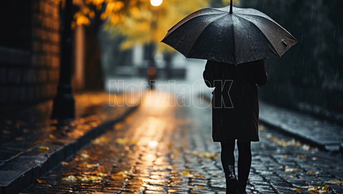 Crotone, scuole chiuse e mercato rinviato  - Foto: Redazione 