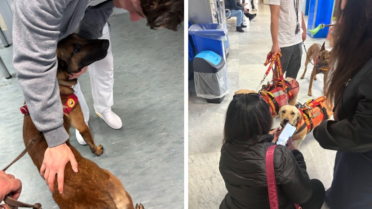 Catanzaro - Tre giorni di Pet Therapy tra ospedali e scuole - 