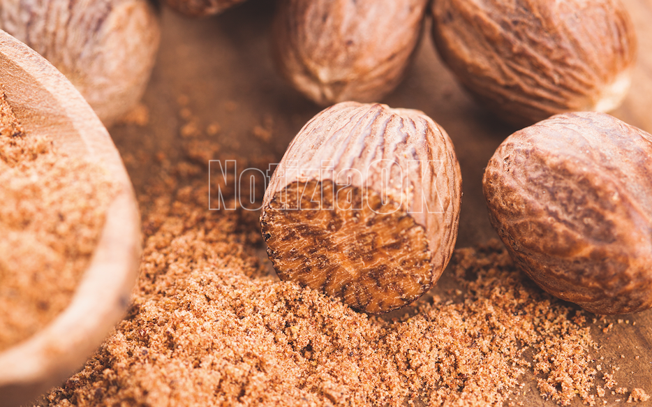 Lifestyle – Aroma, cucina e benessere in un solo ingrediente - Foto: Redazione